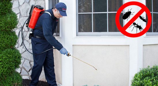Köprüköy Böcek İlaçlama böcek ilaçlama ve haşere kontrolü — ilaclama-tr.com